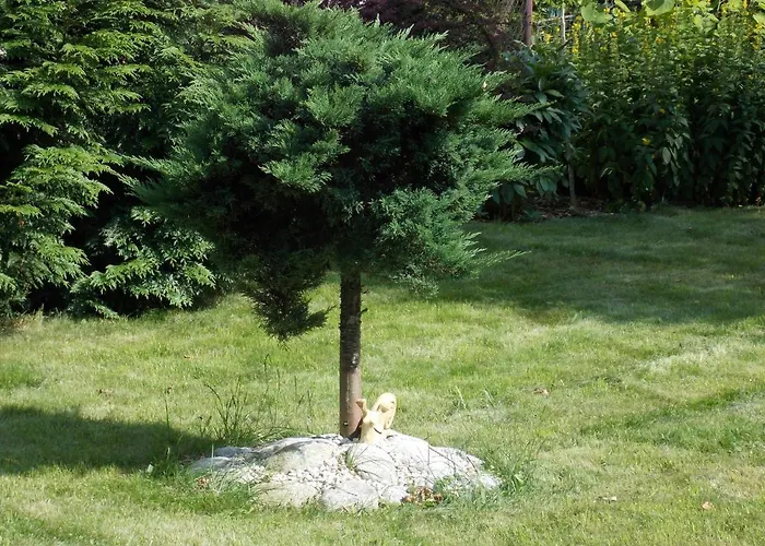 בית הארחה Aida 3*