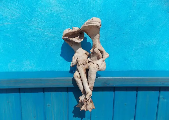 בית הארחה Aida אוסטרבה